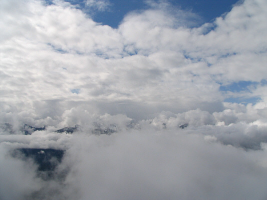 Beats getting rained on!