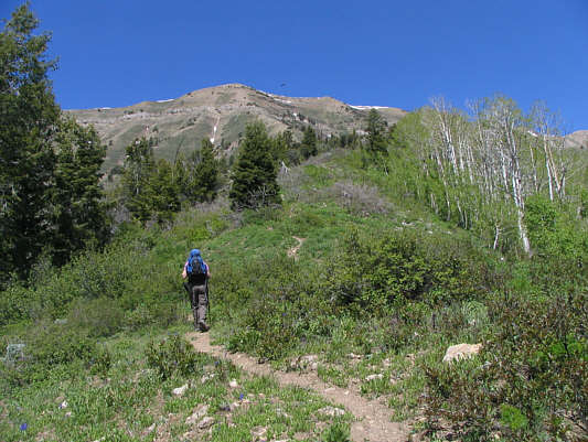 Already over a thousand switchbacks to get here, and we're not even halfway there!