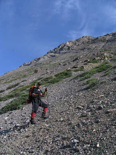 Sam was a climbing machine on this day!