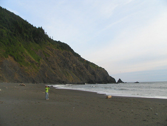 We saw a few pelicans here as well as a sea lion poking its head out of the ocean.