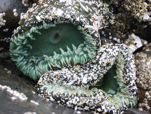 They look rather tired.