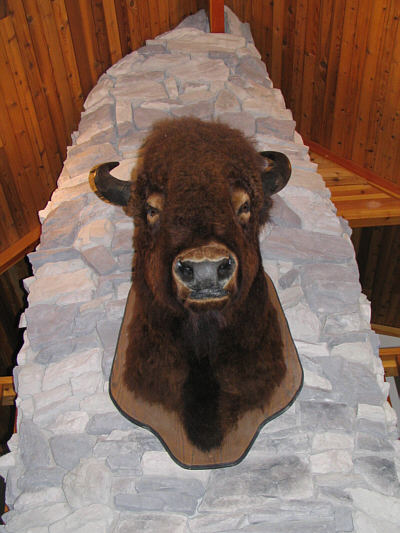 This is what you would wake up to if you slept in the sofa bed.