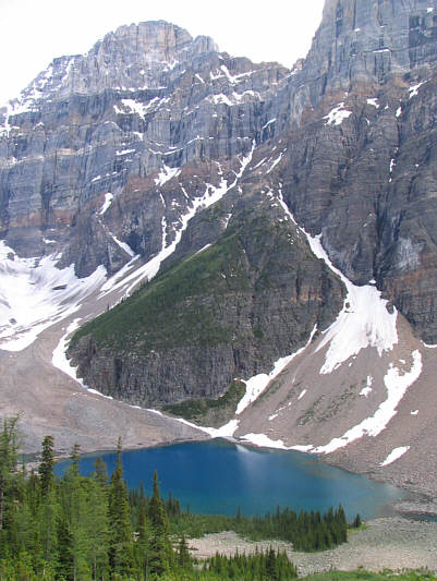 The trees and rocks at the bottom look so innocuous from up here...
