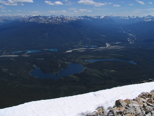 Lots of mosquitoes down there too!