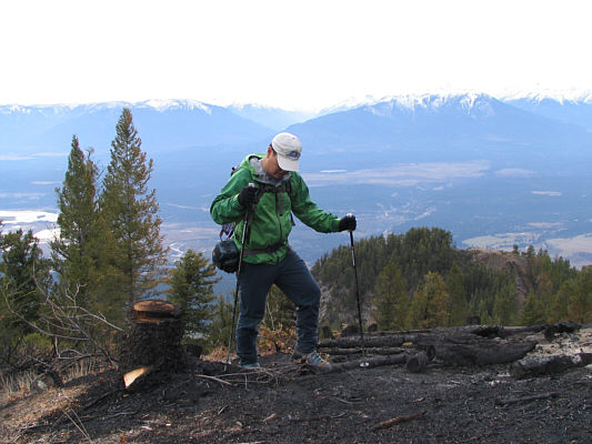 Good thing I came today before they torch the whole mountain next year (ie. say goodbye to all the flagging tape).