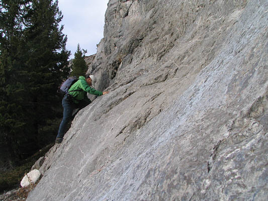 Looks easy enough to ascend, but getting down might be a tad tricky.