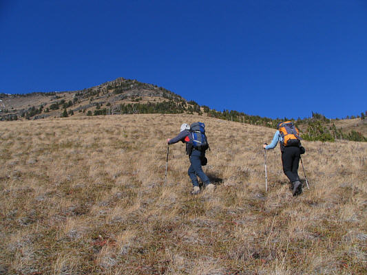 This is a much more interesting route than the boring, meandering road.