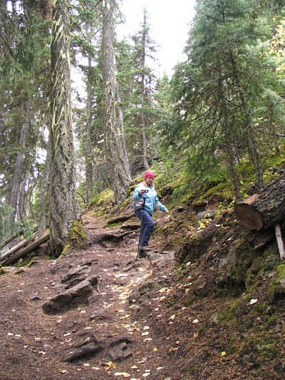 Actually, there are multiple branches all over the place, but they all lead to the same place.