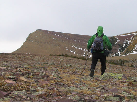 Not as far away as it looks...