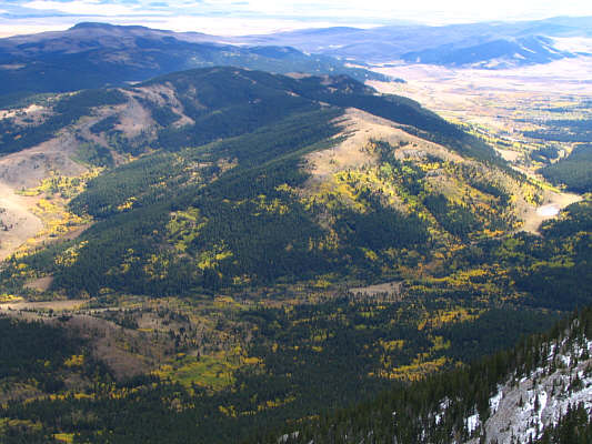 And the bushwhacking probably isn't that bad, but I'm not gonna go find out!