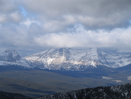 Definitely worth exploring in the future.