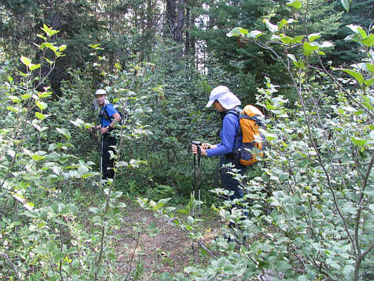 A good candidate for worst lookout views ever!