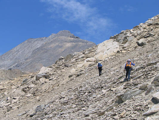 Much better than bushwhacking!