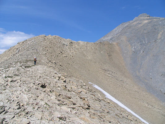 Dinah is clearly visible here, but can you spot Bob?