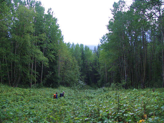 The highway is still another 40 miserable minutes from here!