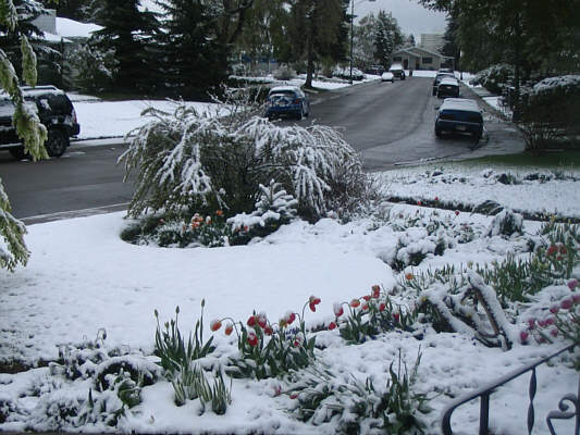 It's a nice day for a white wedding!