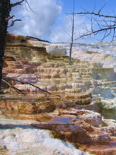 Very cool and very hot!