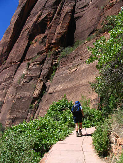 Hardcore mountain bikers or wheelchair athletes could probably make it up this trail.