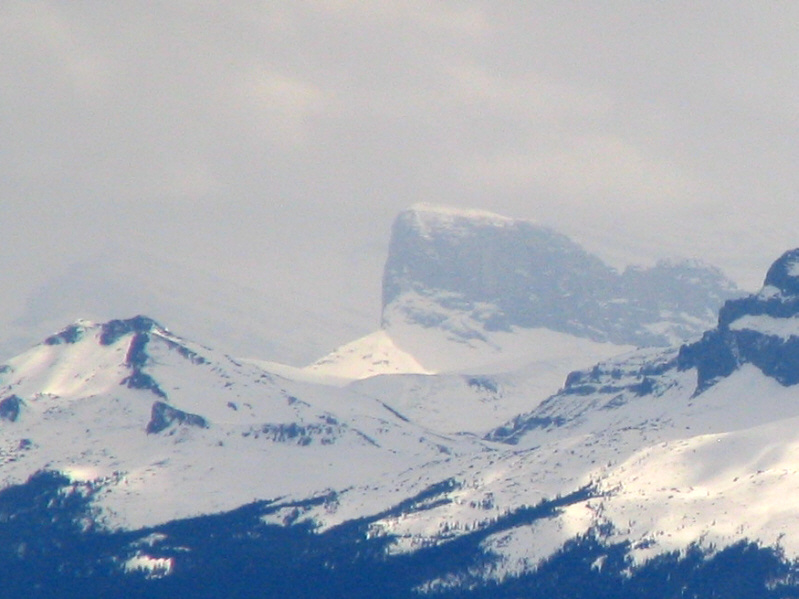 Hope to bag this one later this year...