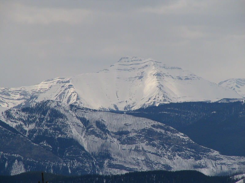 Looks like it might be a decent scramble if you can get in there...