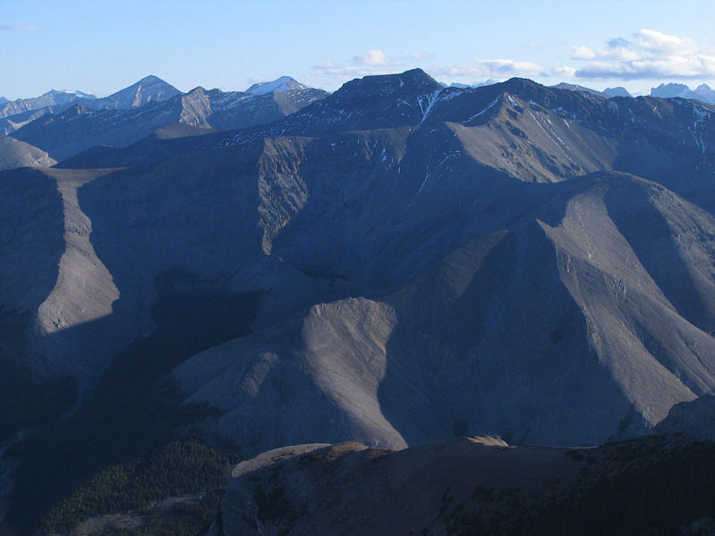 Still have to bag this one...