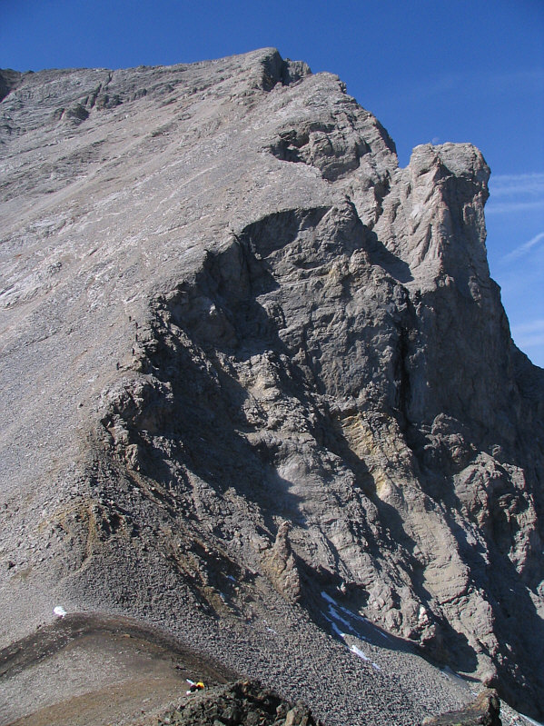 I was tempted to join them!