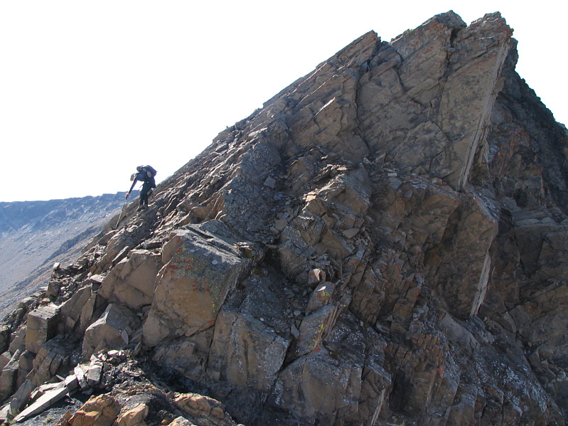 But it's really not that tricky if you're a hardcore scrambler!