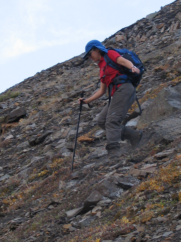 Good dirt surfin' here!