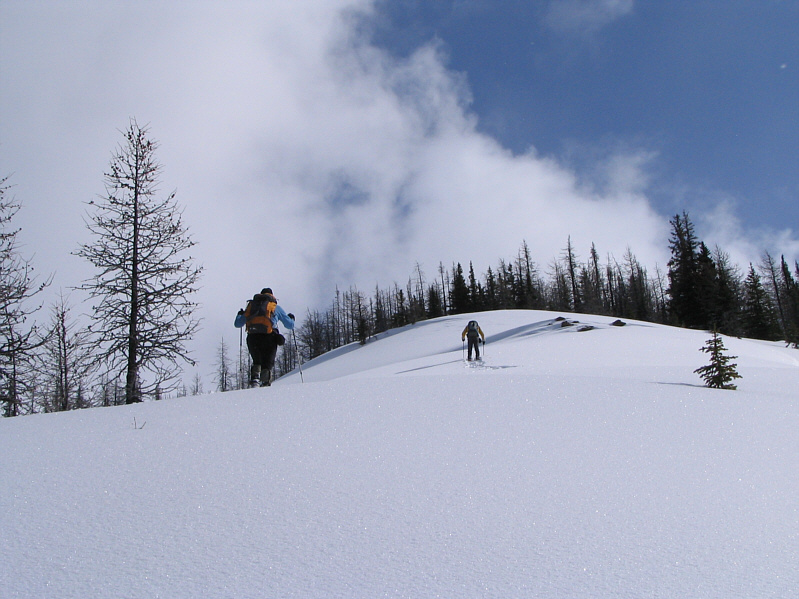 I can watch Bob break trail all day long!
