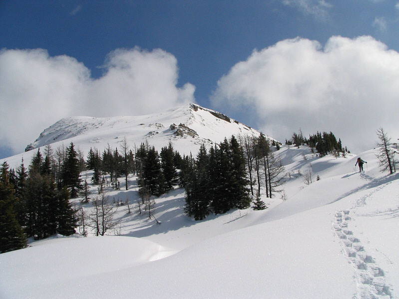 Walking in a winter wonderland!