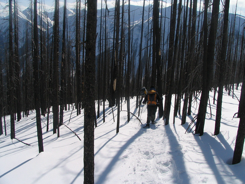 This would NOT have been fun to ski down!