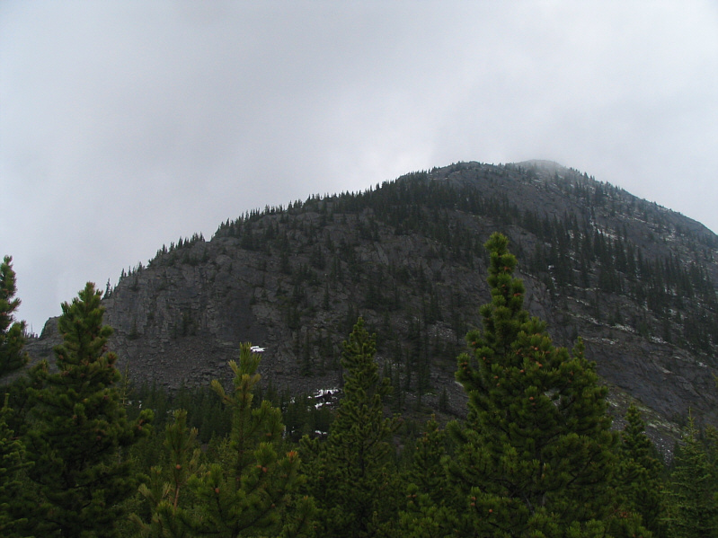 Doesn't look as steep as the previous photo!