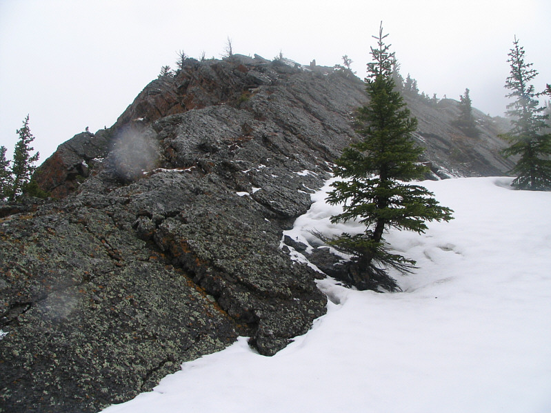 Please excuse the raindrops on the lens!!