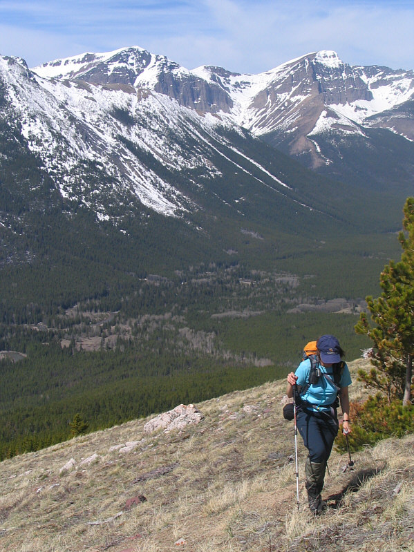 I think that's a part of Barnaby Ridge in the distance.