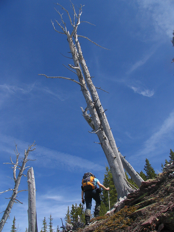 Lots of interesting things to see along the way.