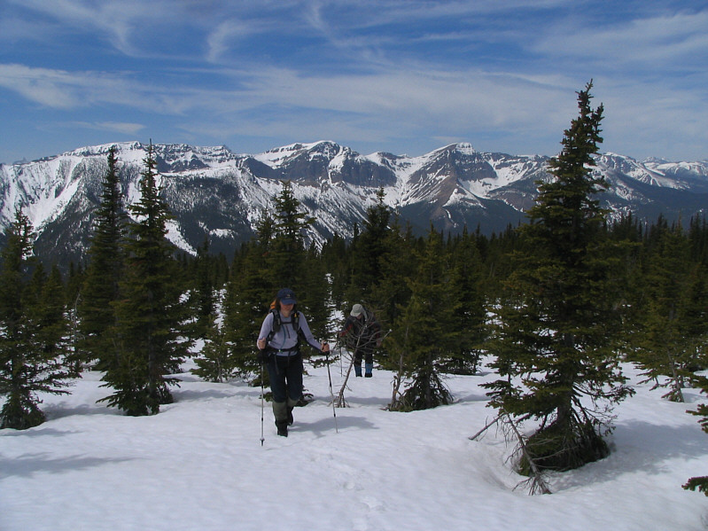 Thank God, or else this section would have been Hell!