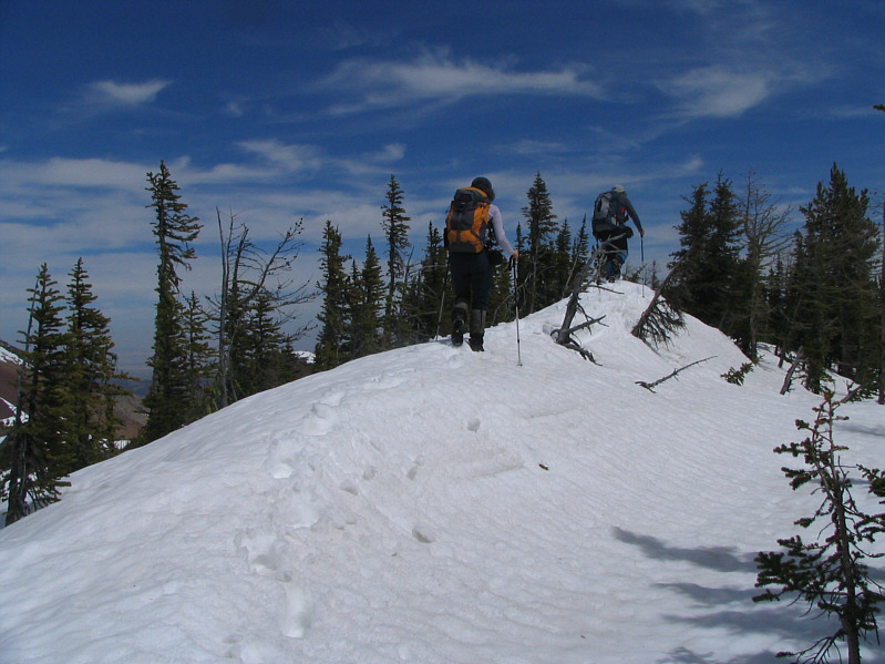 Despite the marred views, this section was actually kinda fun to hike.