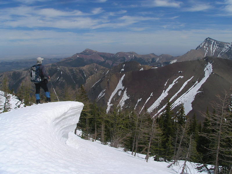 I couldn't dislodge the cornice even after jumping on it a few times!