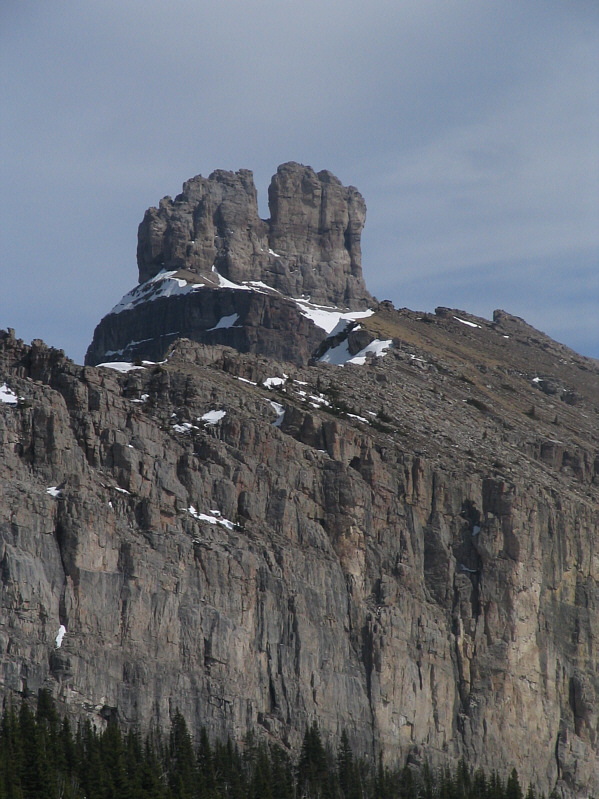 Or "rabbit ears" as Dinah calls them!