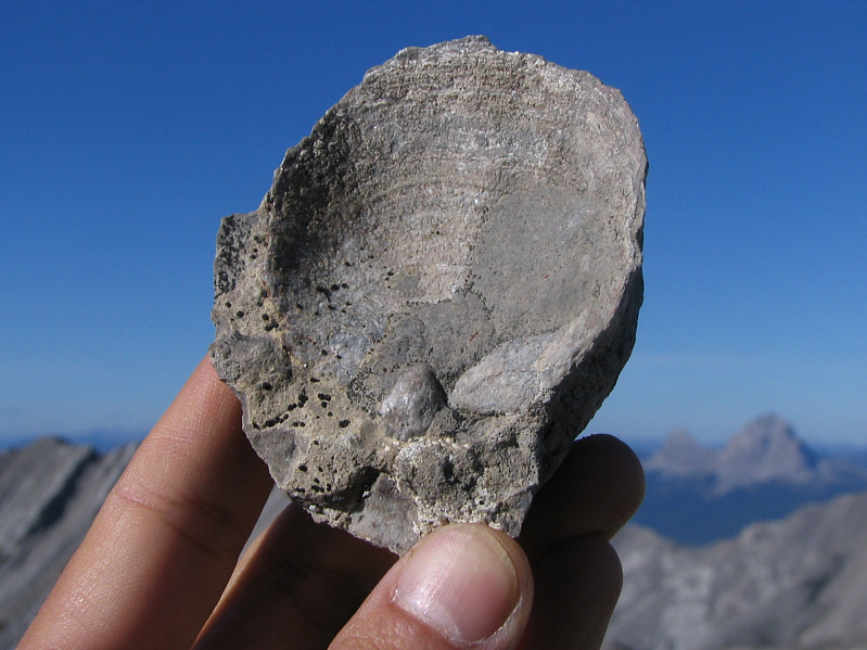 It doesn't feel clammy!