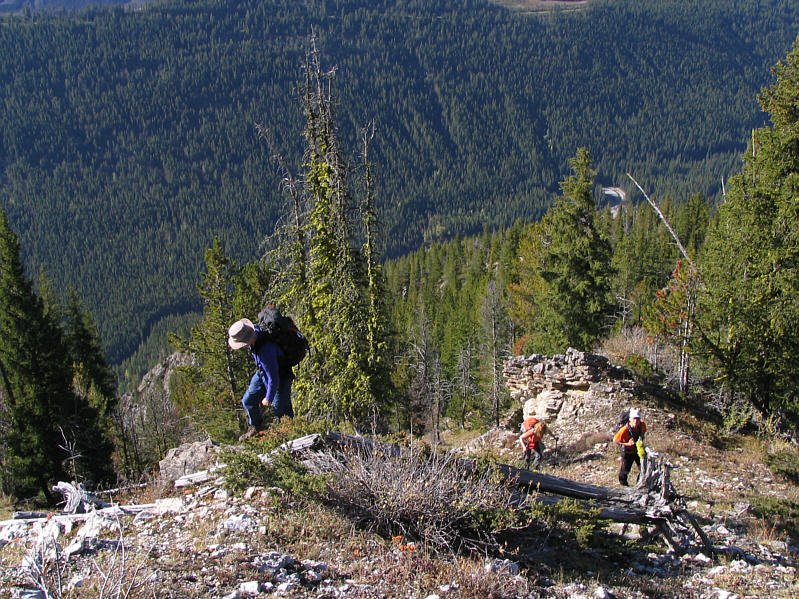 Steep but pleasant hiking so far.