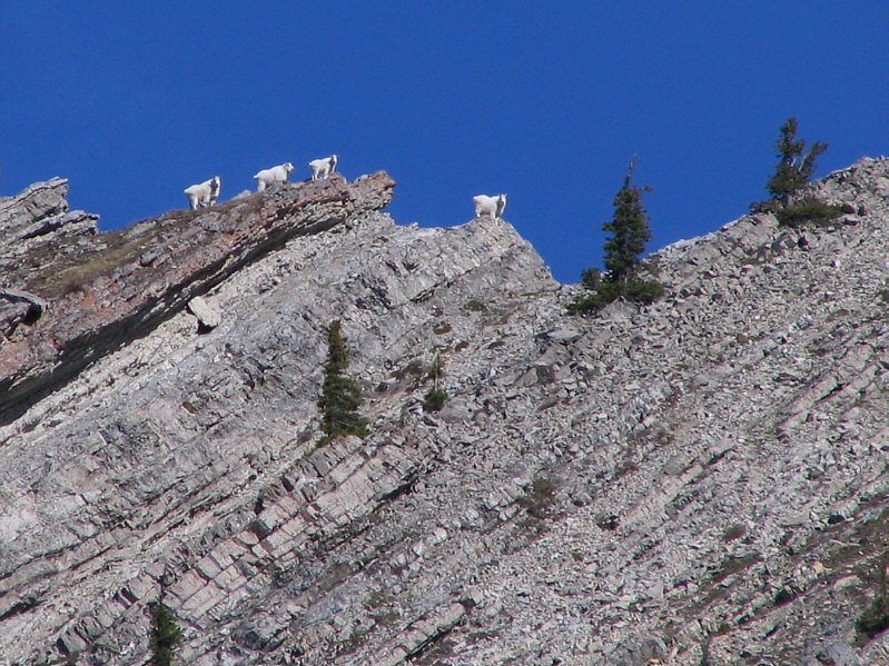 Nice of them to line up for a photo!