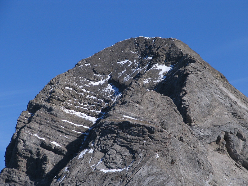 Piece of cake, right??