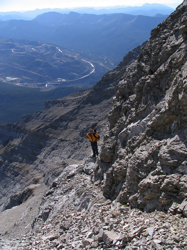 He looks like he's wondering when all this madness will end!