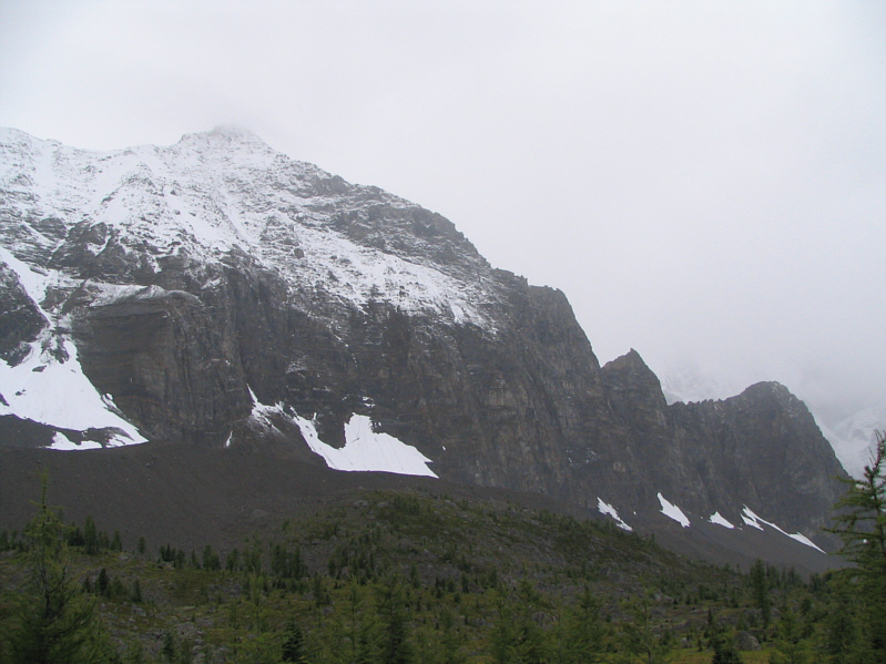 Unfortunately, we couldn't see the Goodsirs on this day.