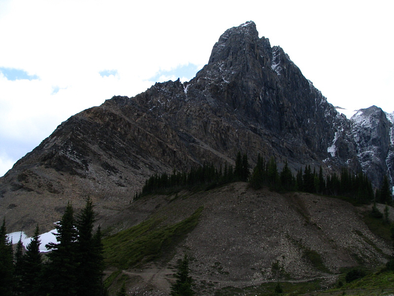 It's an easy side trip to visit Wolverine Pass.