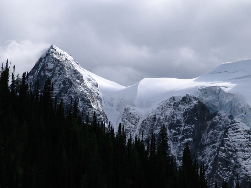 Look how thick the ice is!