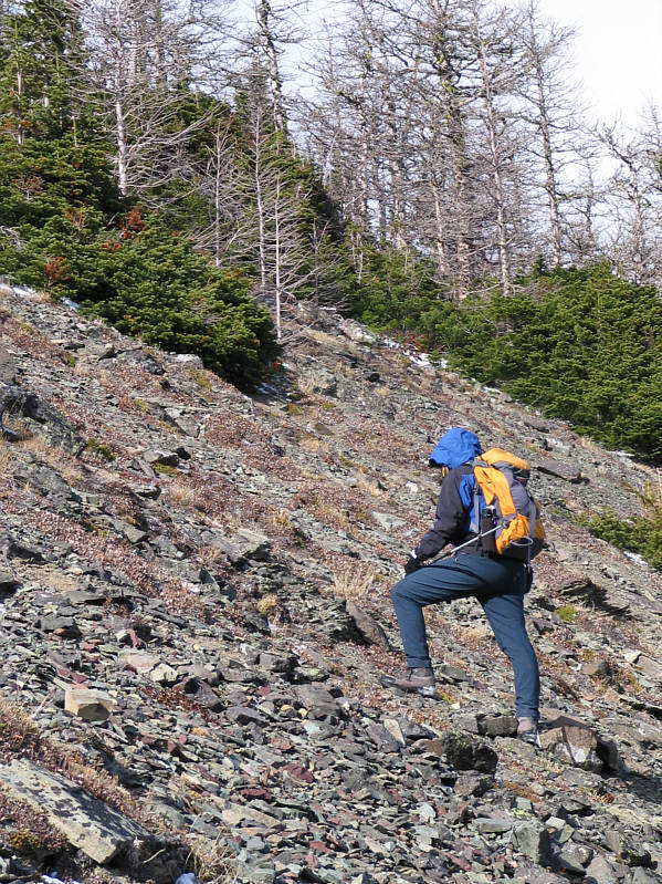 Unfortunately, we missed seeing all the larches here in their full glory.