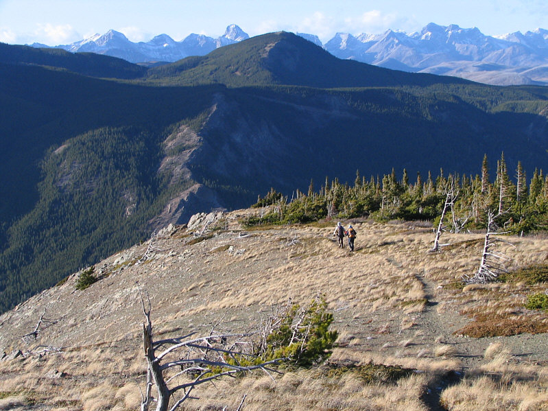 It's sunnier than in the morning, but that wind hasn't stopped howling!