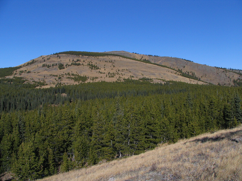 As easy as it looks...really!